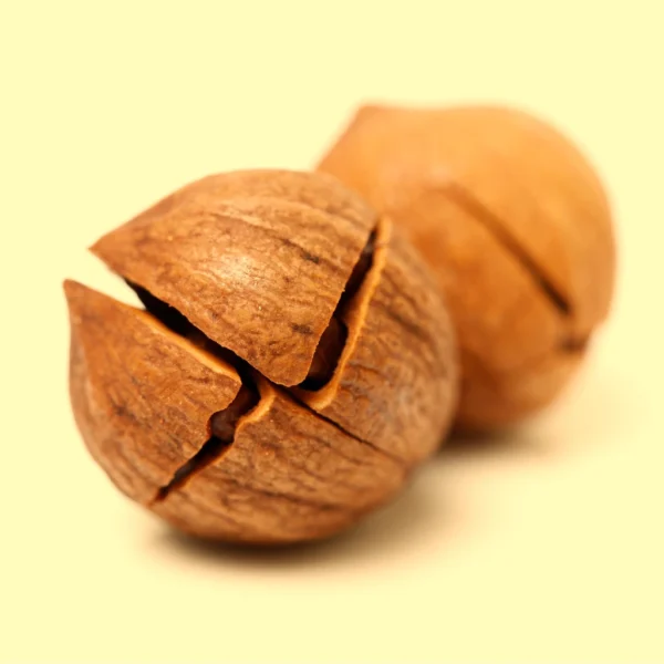 Nozes quebradas - responsabilidade previdenciária empresas