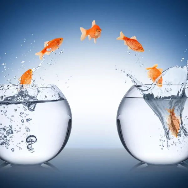 Peixes pulando de um aquário para outro - Tributação do reembolso internacional de despesas