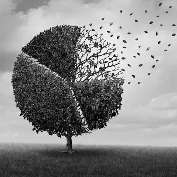 Árvore em forma de gráfico - PLR de administradores e dirigentes