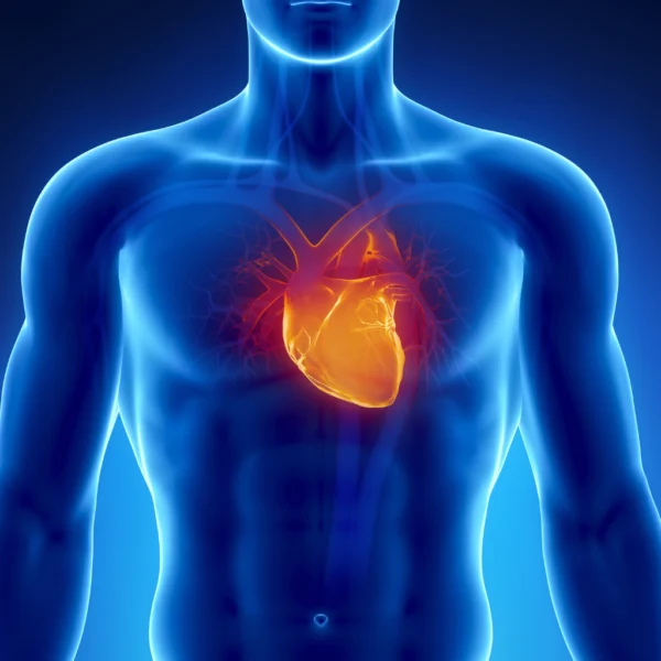 Coração da transação tributária img