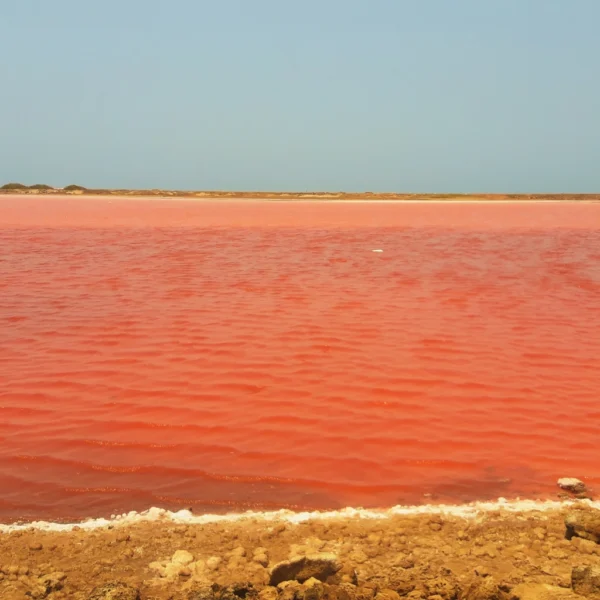 lago vermelho - canal vermelho importação