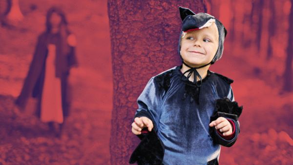 o contribuinte ao Leão (parte1) img