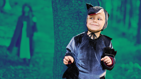 o contribuinte ao Leão (parte3) img